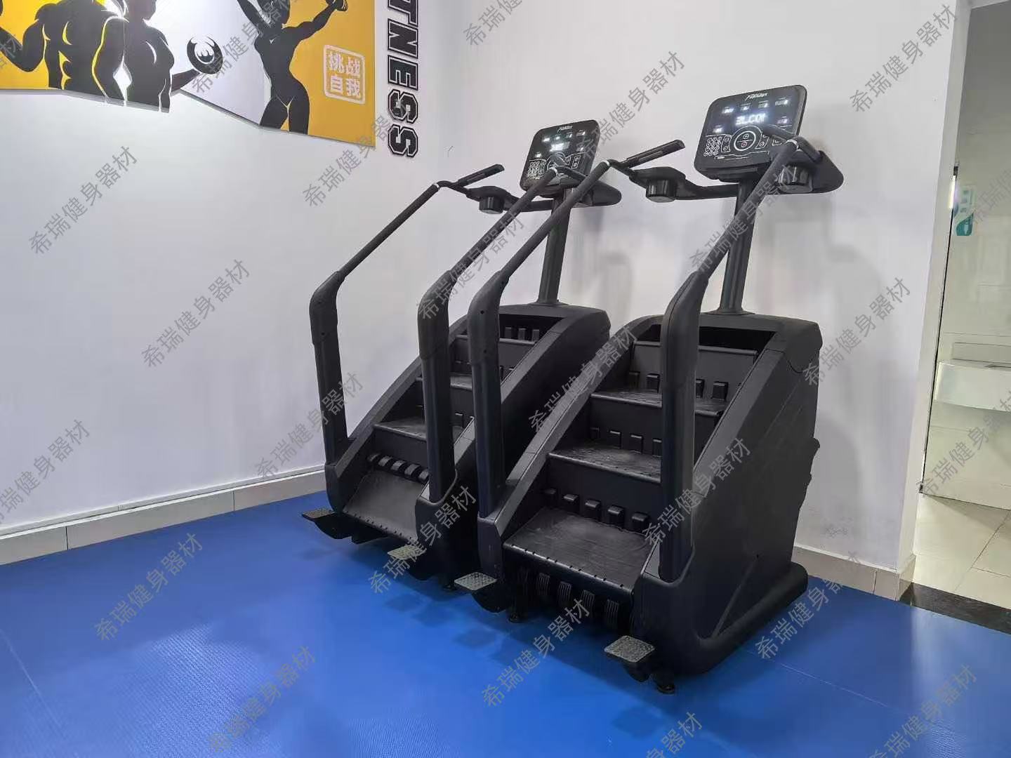 جهاز تمارين القلب والأوعية الد - مراجعة Home Gym Used وسعره